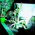 Madora - Private Pool, Amazing Garden, Sea View, Quiet Location Вилла *